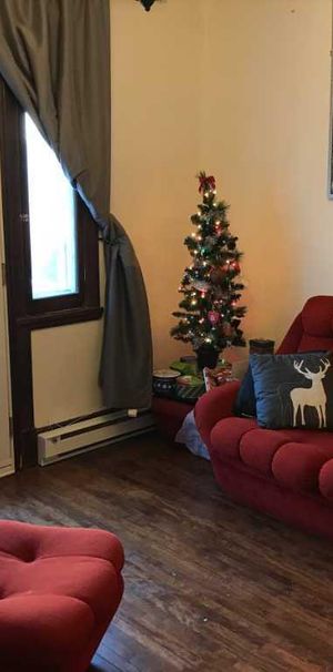 Appartement de 1 chambre et 1 salle de bain - Photo 1