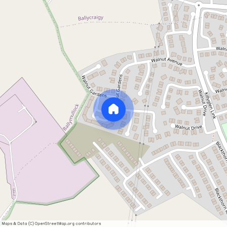 1 Walnut Green, Larne, BT40 2WP