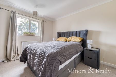 Norwich Road, Tacolneston - Photo 3