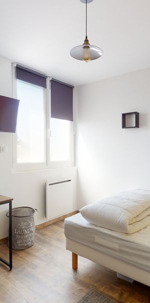 CENTRAYRARGUES Colocation 3 chambres à Montpellier - Photo 1