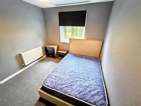 Bumpstede Court, Norwich, NR5 - Photo 3