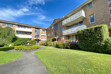 7/36 Disraeli Street, Kew - Photo 5