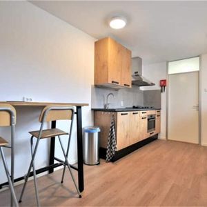 Graviuspad - Photo 2