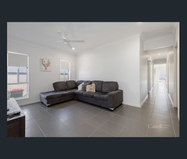 Modern Family Home in Prime North Rothbury Location - Photo 1