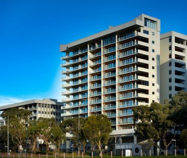 Lumi is Luminescent in Design and Planning - Photo 5