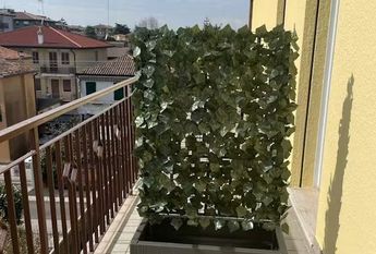 Via Giovanni Paisiello, Padova, Veneto 35134