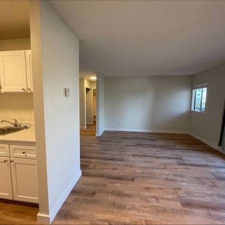 1 Bedroom Suite at 1022 Pandora Ave - Photo 1