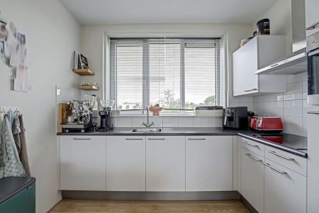 Maison de ville Poproute, Middelburg - À louer - Foto 4