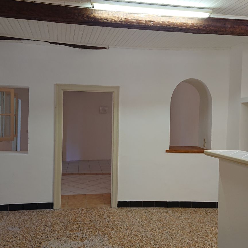 Location Appartement 3 pièces 52m² LE POUGET 34230 - Photo 1