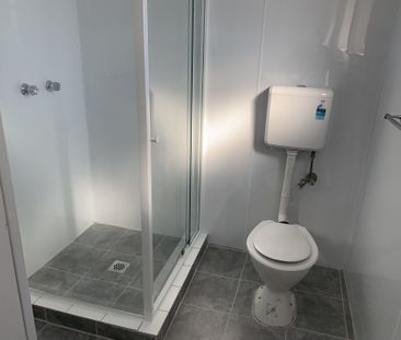 Fully Renovated One Bedroom Unit With Parking - Photo 5