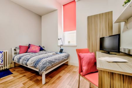 Premium Studio - Photo 5