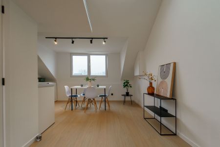 Gerenoveerd dakappartement - Photo 4