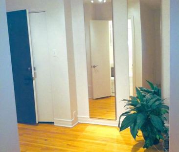 Studio - Montréal - $940 /mo - Photo 3