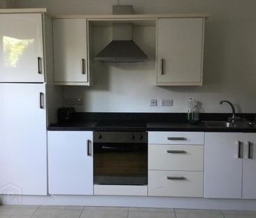 80 Eglantine Avenue, Belfast, BT9 6EU - Photo 5