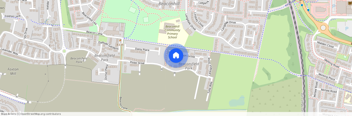 Dandelion, Cramlington, Newcastle Upon Tyne