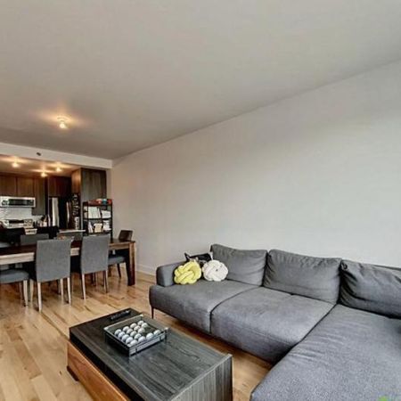 4 1/2 - Montréal (Rosemont) - 3 100 $/mois - Photo 3