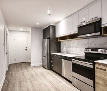 9675 Av. Papineau - Photo 6