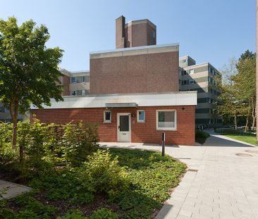 Familiengeeigneter Bungalow in ruhiger Wohnanlage - Photo 2