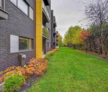 1 CH - 1 SDB - Longueuil - $1,440 /mo - Photo 3