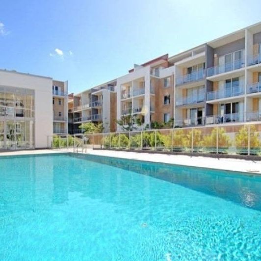 109/25-33 Allen Street, Waterloo NSW 2017 - Apartment For Rent | Domain - Photo 1