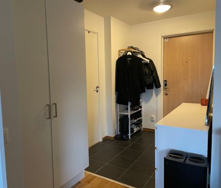 Tallparksvägen, Umeå - Photo 4