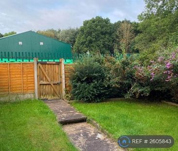 3 bedroom terraced house to rent - Photo 5