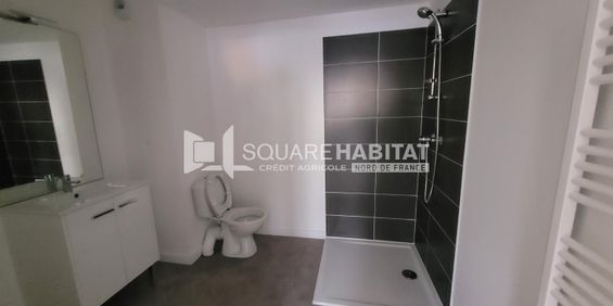 Location Appartement 1 pièce 24m² LOOS 59120 - Photo 3