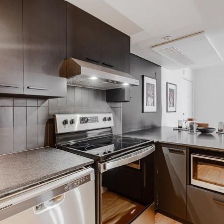 3 ½ entièrement meublé à louer Saint-Jean-Baptiste janvier 2026 - Photo 3