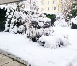 Charmante 2-Zimmer-Dachgeschoßwohnung mit Terrasse in 1210 Wien – I... - Photo 5