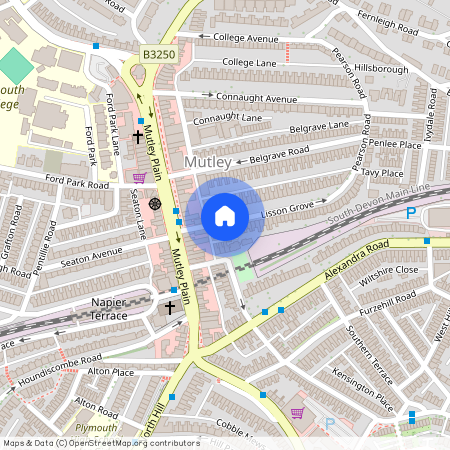 Lisson Grove, Plymouth