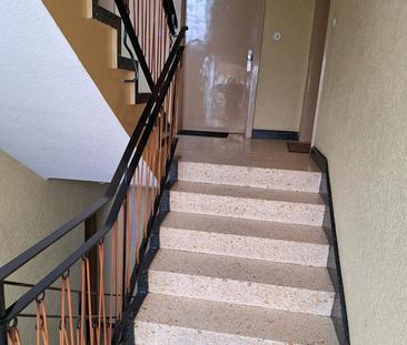 2.ZKD Saarterrasse - Foto 5