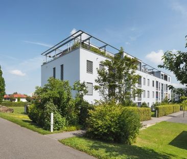 3 ½ Zimmer-Wohnung in Spreitenbach mieten - Photo 4