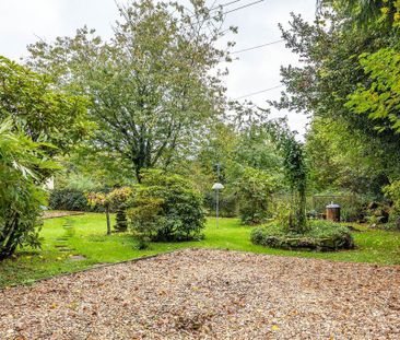 1 bedroom cottage to rent - Photo 3