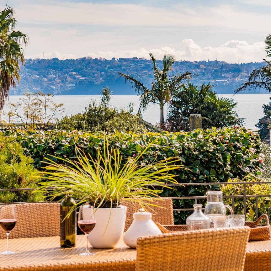 Lifestyle Property in Central Auckland - Photo 1