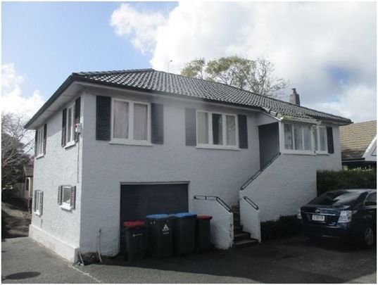 Ready to move in - 1 Bed + Study Unit in St Lukes - Photo 1