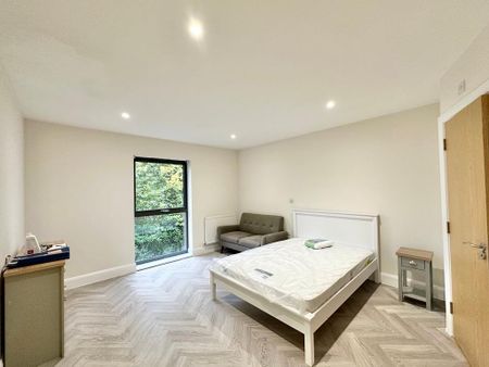 Studio to rent - Photo 3