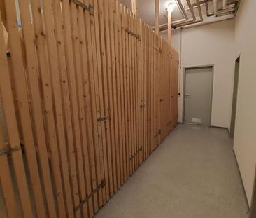 Single-Wohnung in herrschaftlicher Villa in Greiz! - Photo 6