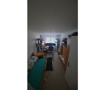 3½ Zimmer-Wohnung in Zürich - Kreis 11 Affoltern, möbliert, auf Zeit - Photo 4