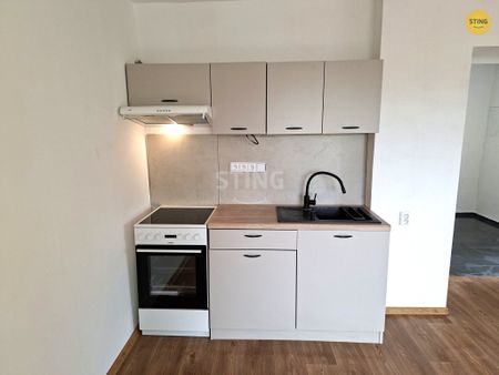 Byt 1+kk k pronájmu, Vysoká / Strážnice - Photo 4