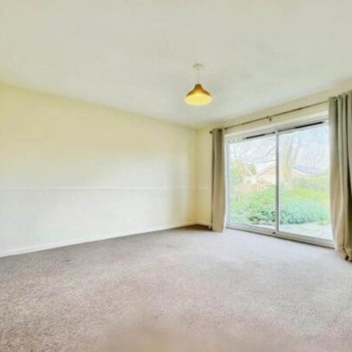 3 bedroom bungalow to rent - Photo 1