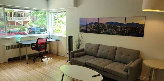 (Furnished) MOUNT PLEASANT - Spacious 1Bed+1Bath! NEAR CANADA LINE!! - Photo 2