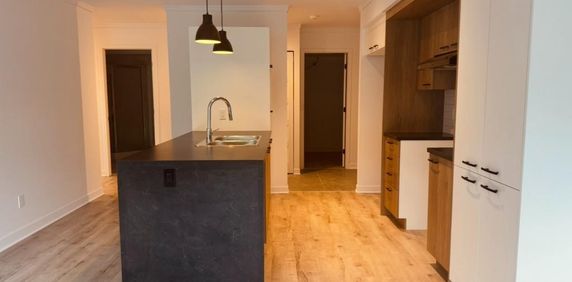 Logement 5 1/2 - Mars 2026 - Photo 2