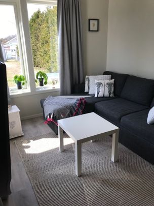 Sörviksvägen, Åsa - Foto 1