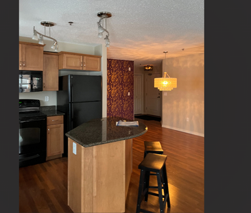 Fabulous 2 Bed 2 Bath Condo in Stonebridge - Photo 3