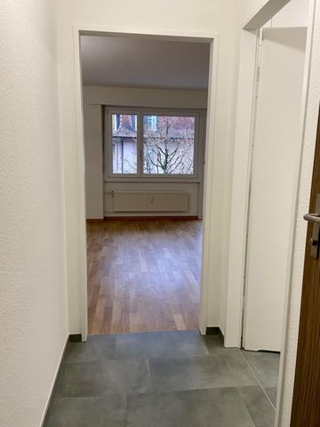 Appartement d’une pièce récemment rénové dans le quartier populaire de Gotthelf - Photo 2