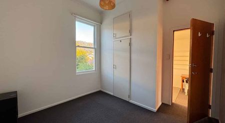 large 1 bedroom in Mt Victoria - Photo 5