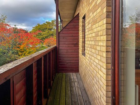 Studio to rent - Photo 2