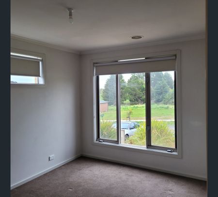 31 Fraser Street, Mount Pleasant, Vic 3350 - Photo 4