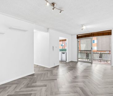 Fresh in Freshwater - Photo 4