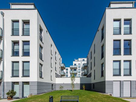 2 Zimmer mit EBK, Balkon und Tageslichtbad - Photo 4